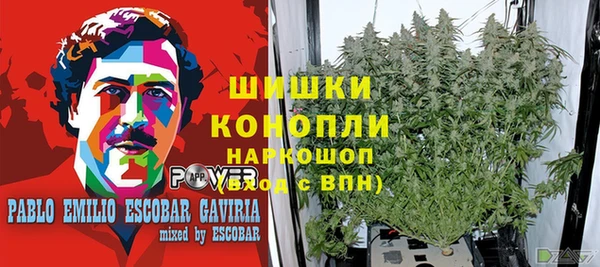 мет Надым