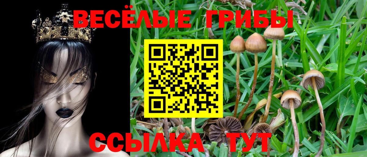 Галлюциногенные грибы мухоморы Санкт-Петербург