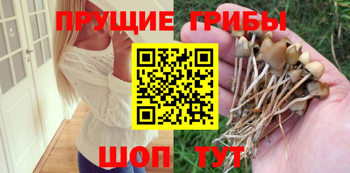 закладка  Галлюциногенные грибы мухоморы  Вход с VPN  Галлюциногенные грибы мицелий  Санкт-Петербург 