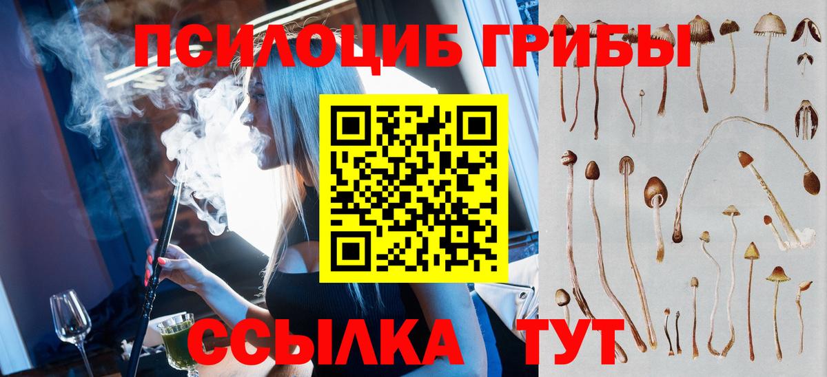 Псилоцибиновые грибы Cubensis Санкт-Петербург